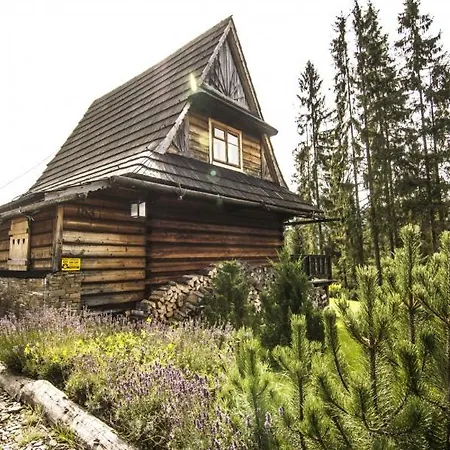 Domek Rysulowka Zakopane Koscielisko